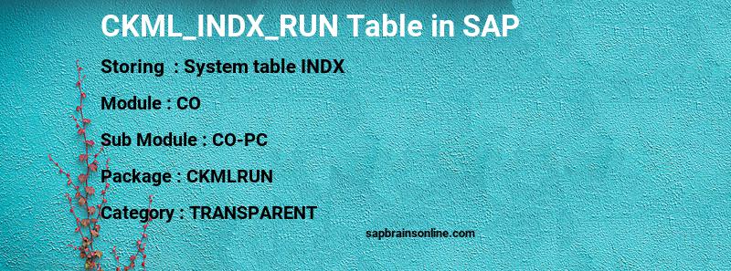 SAP CKML_INDX_RUN table