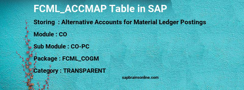 SAP FCML_ACCMAP table