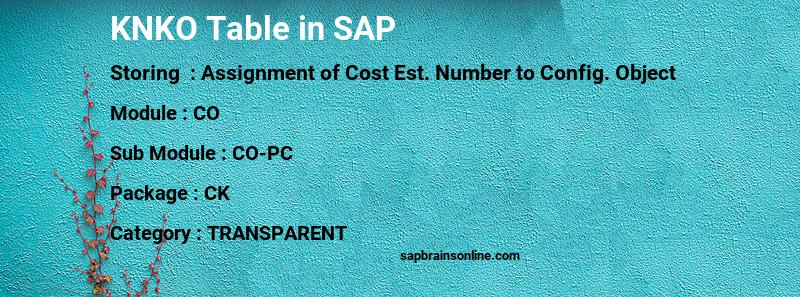 SAP KNKO table