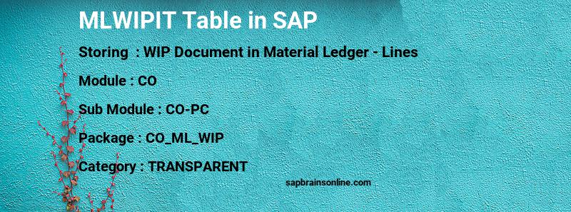 SAP MLWIPIT table