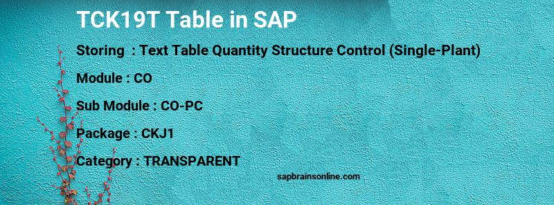 SAP TCK19T table