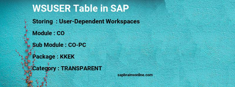 SAP WSUSER table