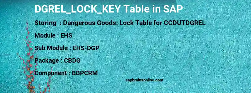 SAP DGREL_LOCK_KEY table
