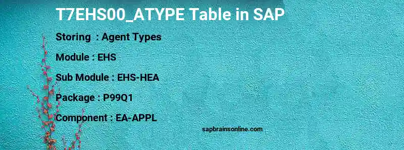 SAP T7EHS00_ATYPE table