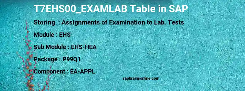 SAP T7EHS00_EXAMLAB table