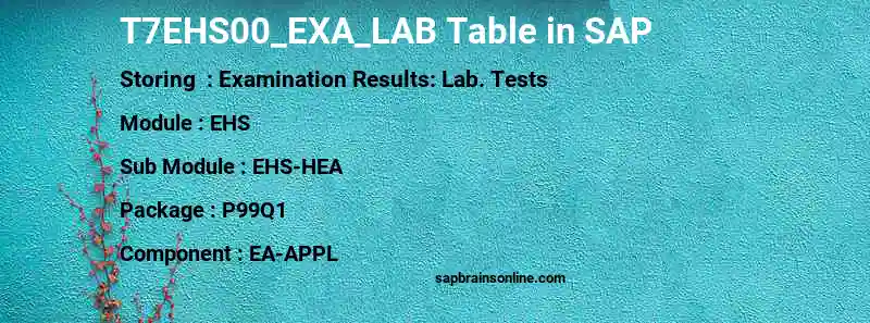 SAP T7EHS00_EXA_LAB table
