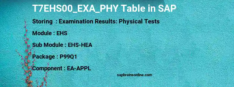 SAP T7EHS00_EXA_PHY table