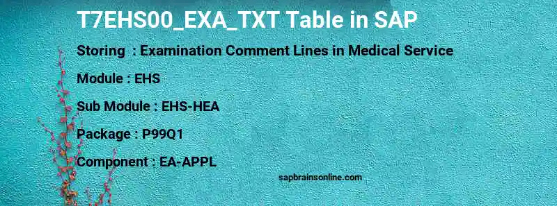 SAP T7EHS00_EXA_TXT table