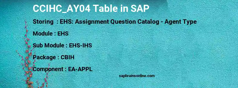 SAP CCIHC_AY04 table