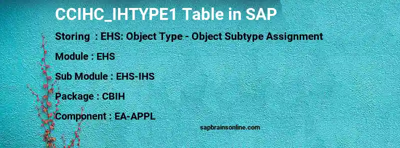 SAP CCIHC_IHTYPE1 table