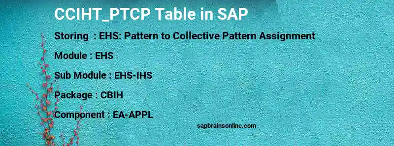 SAP CCIHT_PTCP table
