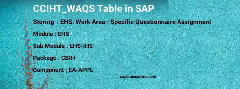 SAP CCIHT_WAQS table
