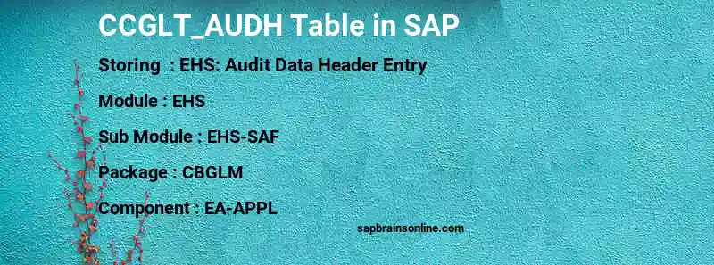 SAP CCGLT_AUDH table