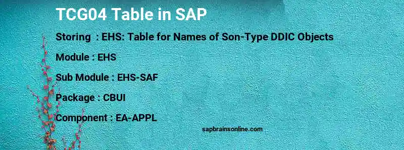 SAP TCG04 table