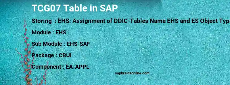SAP TCG07 table