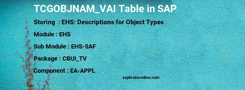 SAP TCGOBJNAM_VAI table