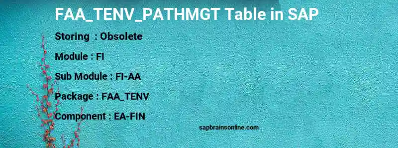 SAP FAA_TENV_PATHMGT table
