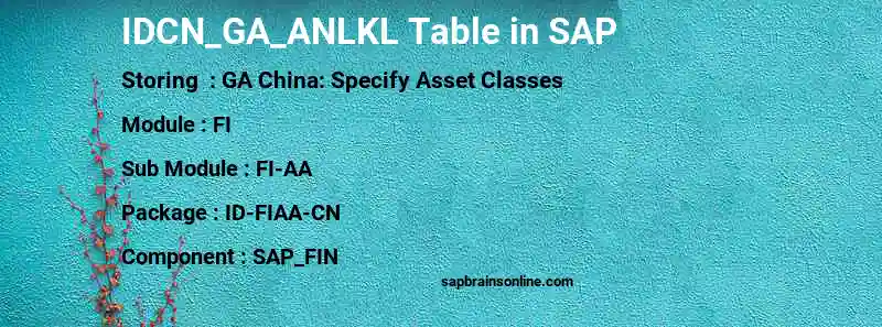 SAP IDCN_GA_ANLKL table