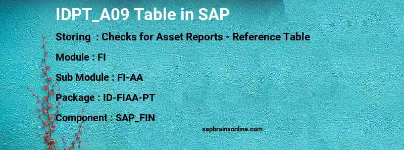 SAP IDPT_A09 table
