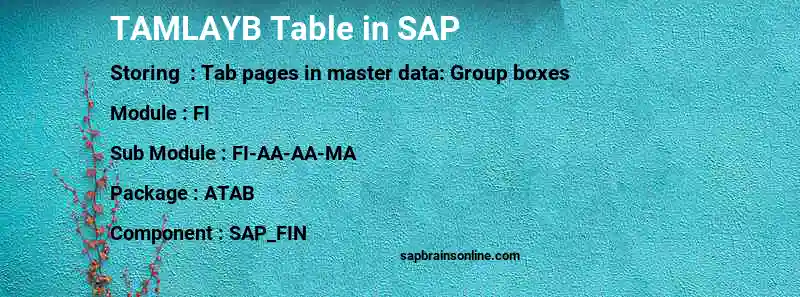 SAP TAMLAYB table