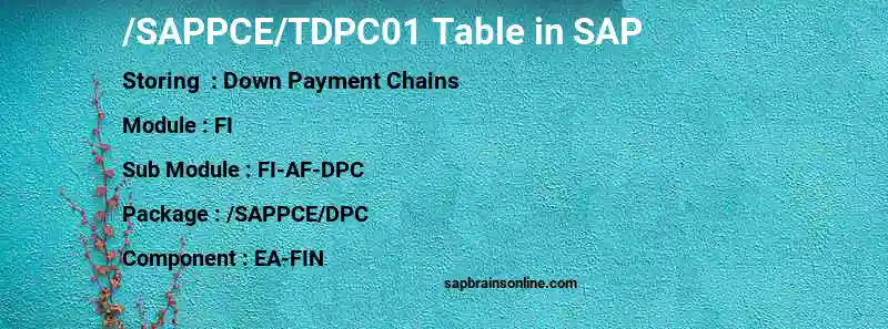 SAP /SAPPCE/TDPC01 table