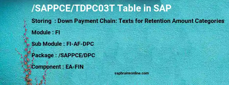 SAP /SAPPCE/TDPC03T table