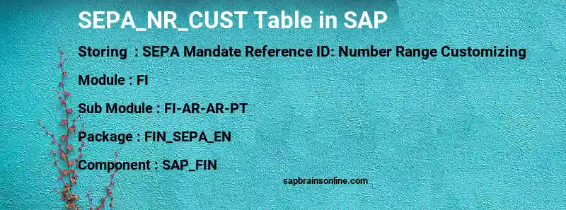 SAP SEPA_NR_CUST table