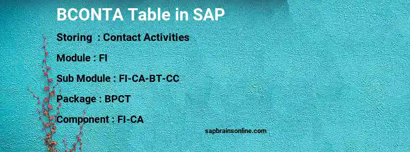 SAP BCONTA table