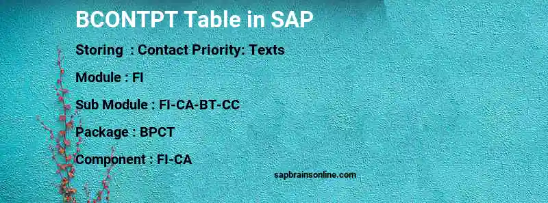 SAP BCONTPT table