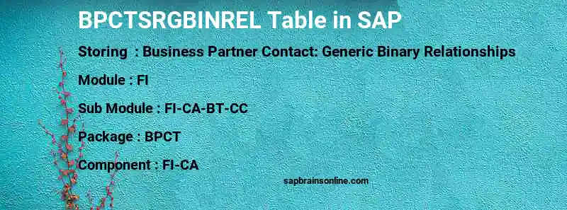 SAP BPCTSRGBINREL table