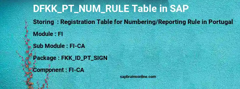SAP DFKK_PT_NUM_RULE table