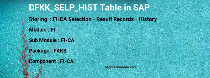SAP DFKK_SELP_HIST table