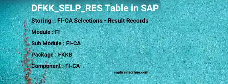 SAP DFKK_SELP_RES table