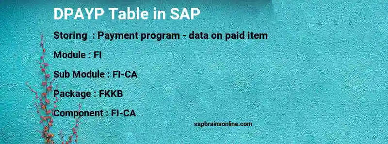 SAP DPAYP table