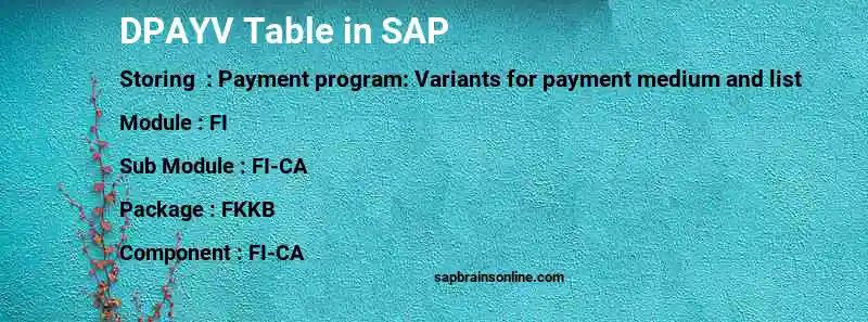 SAP DPAYV table