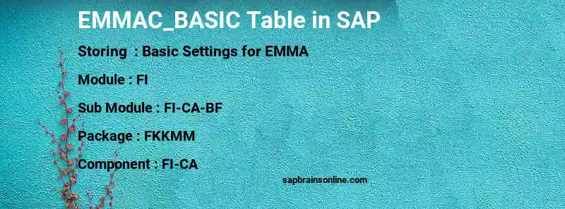 SAP EMMAC_BASIC table