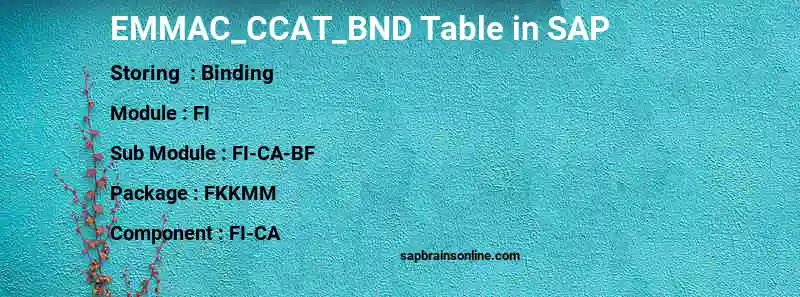 SAP EMMAC_CCAT_BND table
