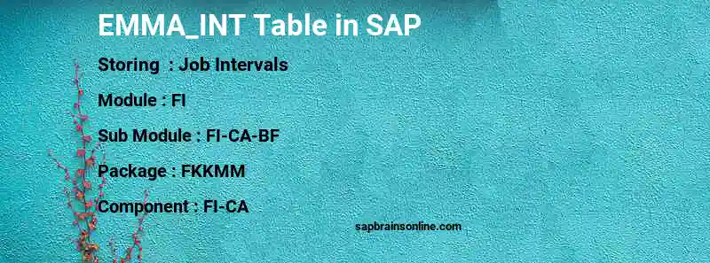 SAP EMMA_INT table