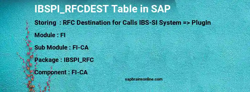 SAP IBSPI_RFCDEST table