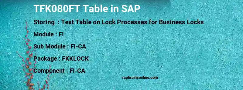 SAP TFK080FT table