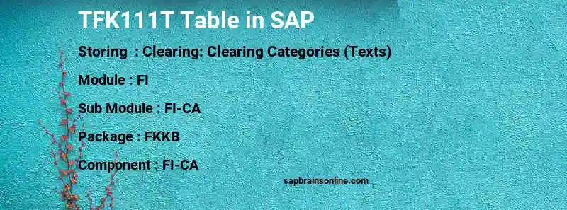 SAP TFK111T table
