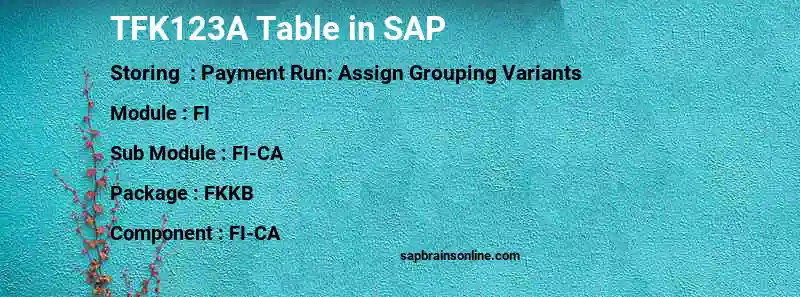 SAP TFK123A table