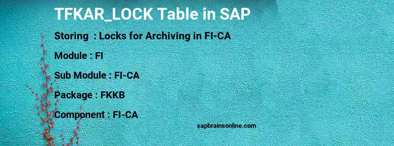 SAP TFKAR_LOCK table