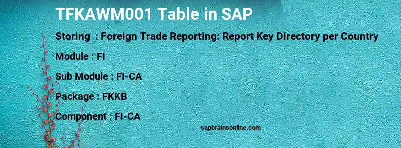 SAP TFKAWM001 table