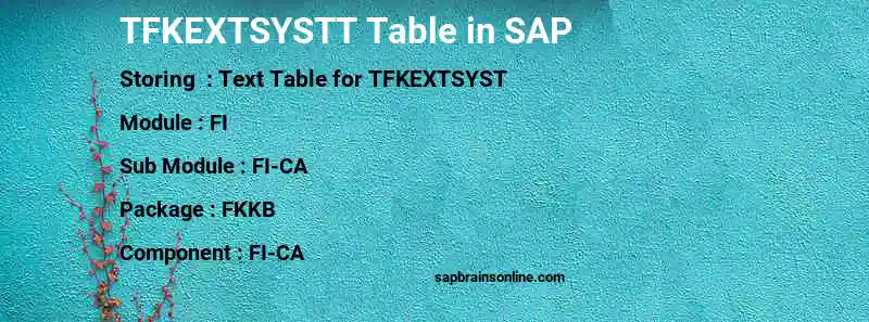 SAP TFKEXTSYSTT table