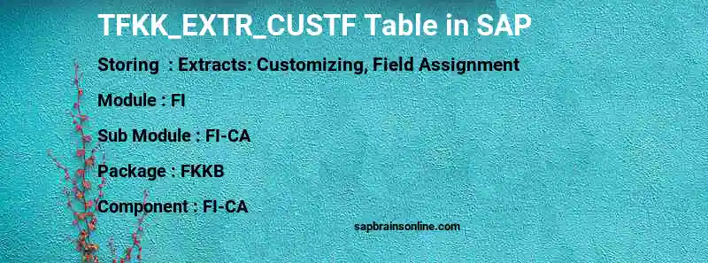 SAP TFKK_EXTR_CUSTF table