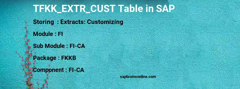 SAP TFKK_EXTR_CUST table