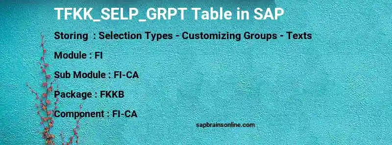 SAP TFKK_SELP_GRPT table