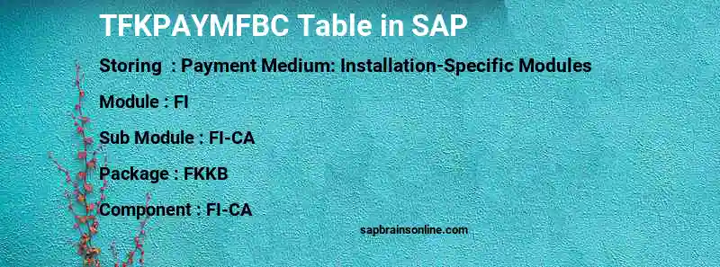 SAP TFKPAYMFBC table
