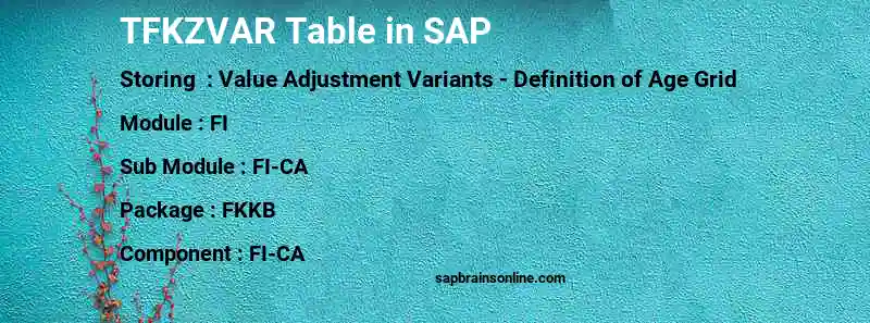 SAP TFKZVAR table